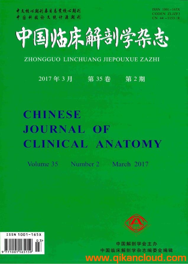 中國臨床解剖學(xué)雜志