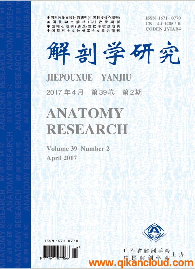 解剖學(xué)研究